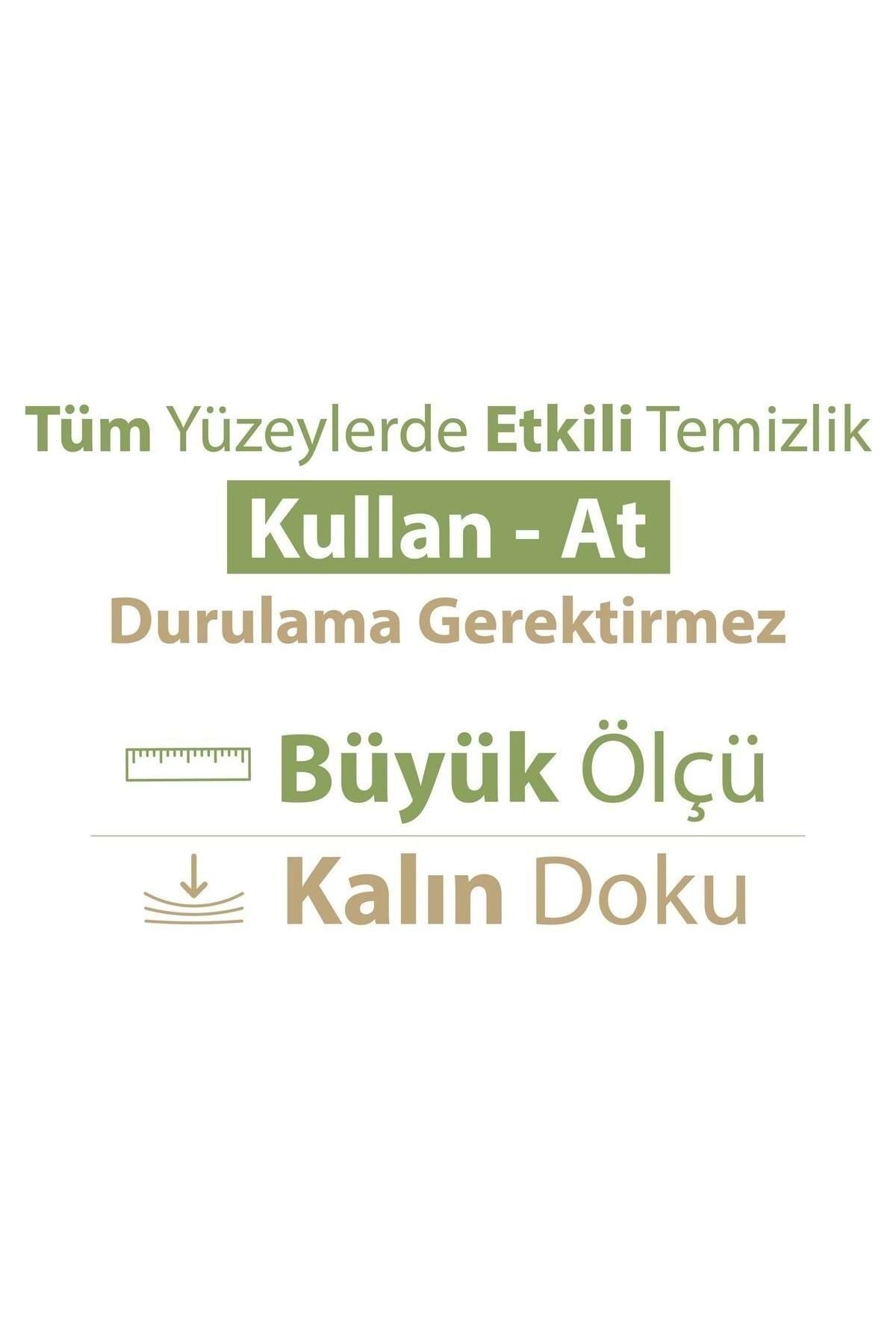 Turco Doğadan Pratik Yüzey Temizlik Havlusu 100 Yaprak Yeşil Sabun/Yeşil Çam (3 Lü Set) 3