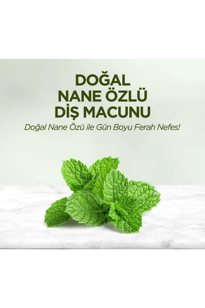 Doğal Nane Özlü Diş Macunu 90 ml 1 Adet+ Karanfil Özlü Diş Macunu 90 ml 1 Adet