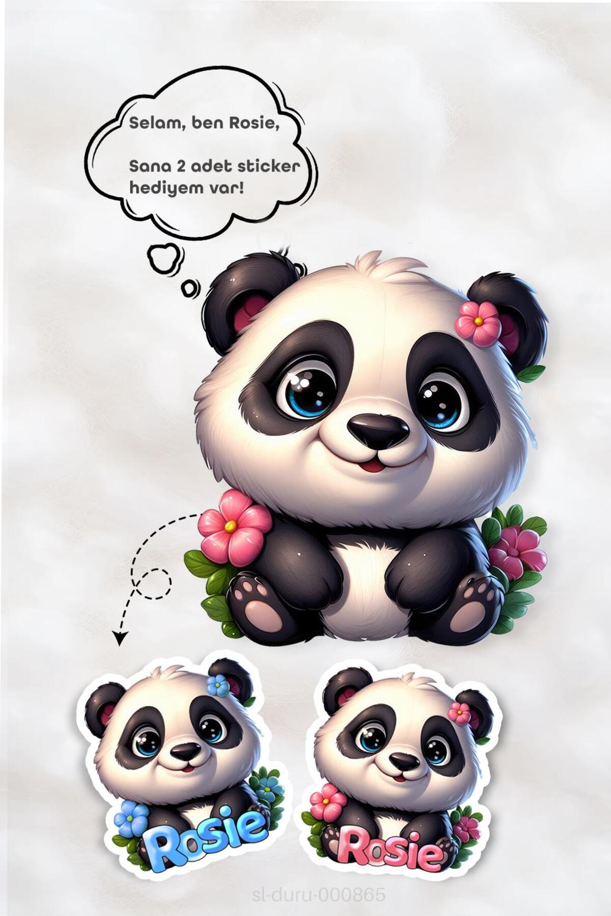 Zeytinyağlı Bebek Losyonu 280 ml 3'lü ve ROSIE Bebek Pamuğu