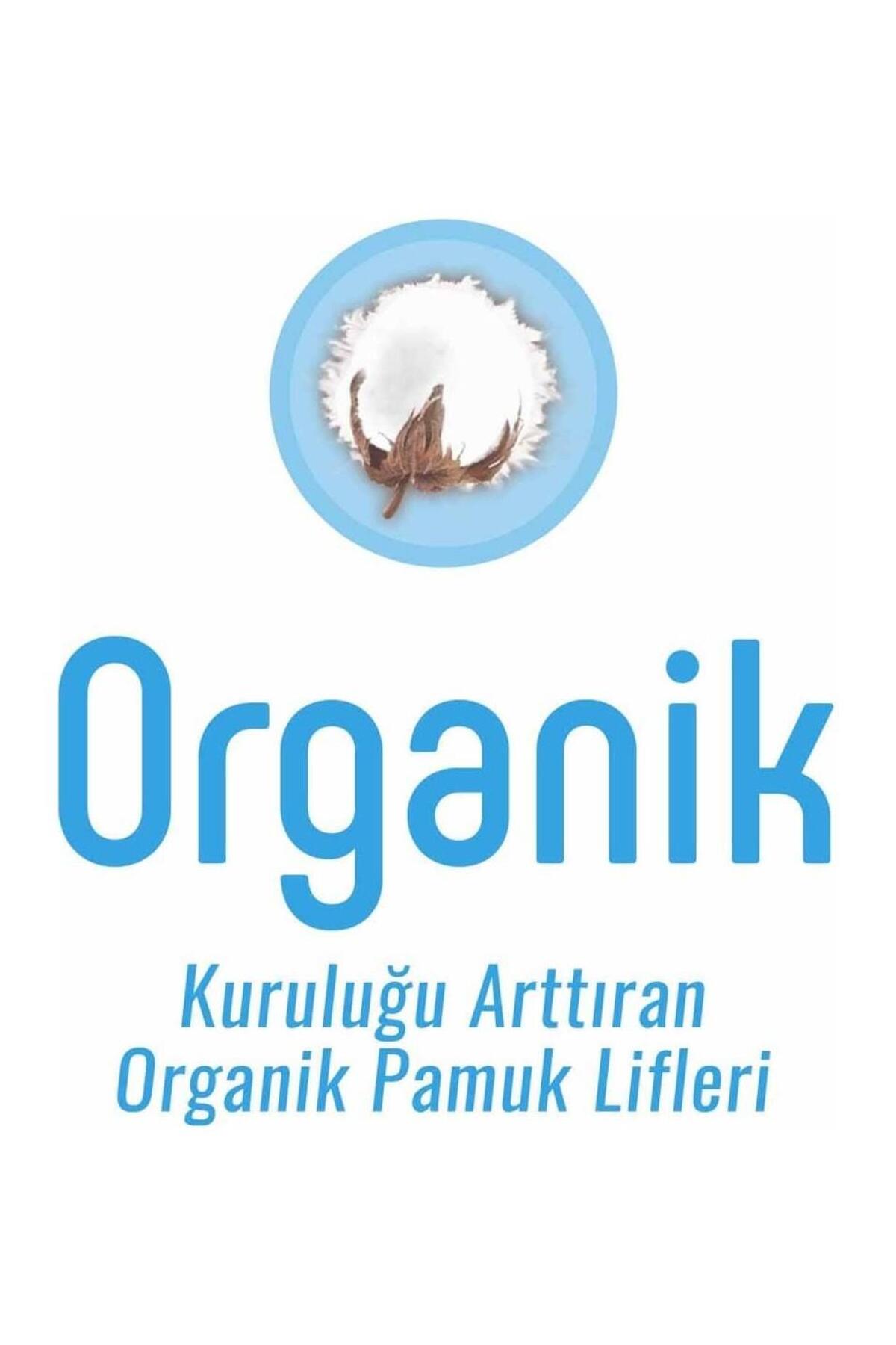 5 AL 4 ÖDE Natural Günlük Ped Uzun 64'lü ve ROSIE oda kokusu