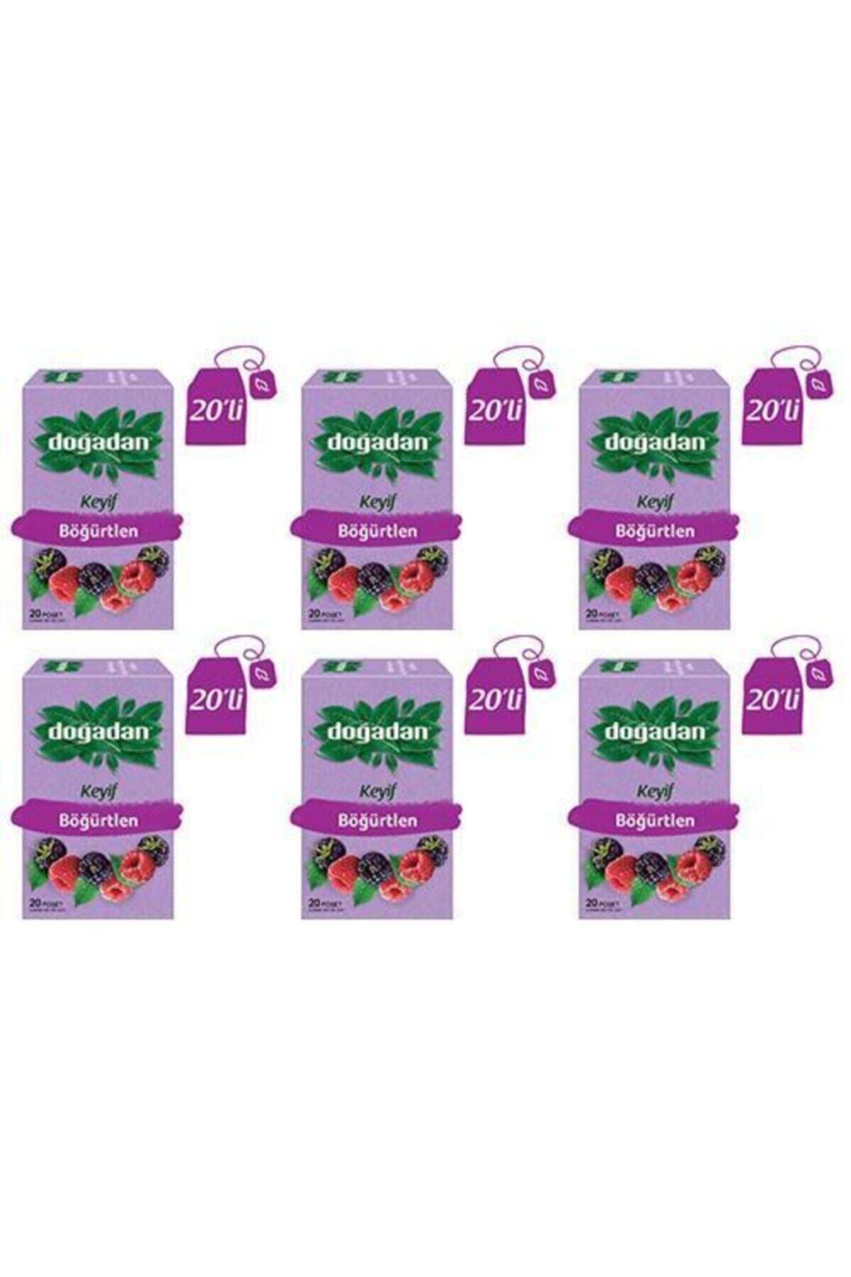 Böğürtlenli Karışık Meyve Çayı 6 Paket