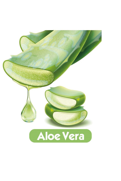 Softcare Aloea Vera Islak Havlu Mendil 90x12 1080 Yaprak
