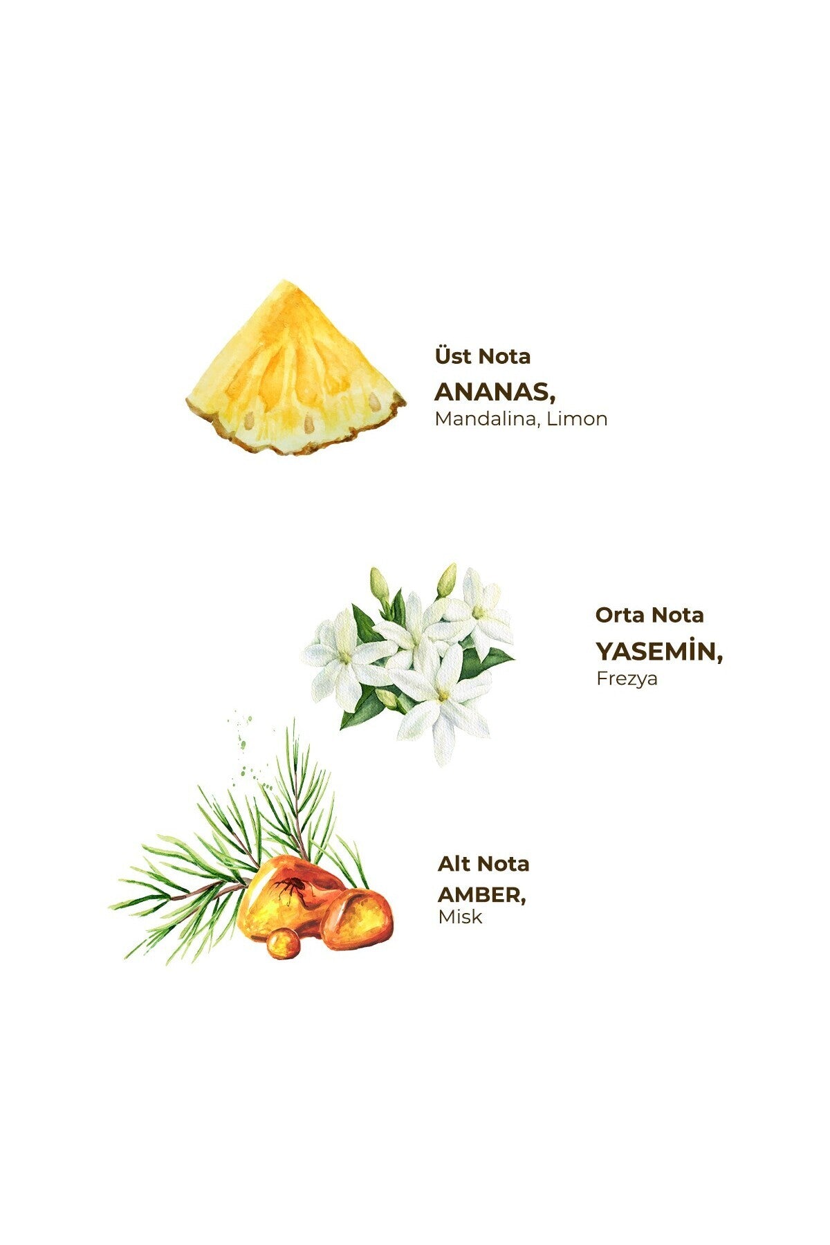 Hawaii Ananas 150 ml Sprey Kolonya - Pet Şişe