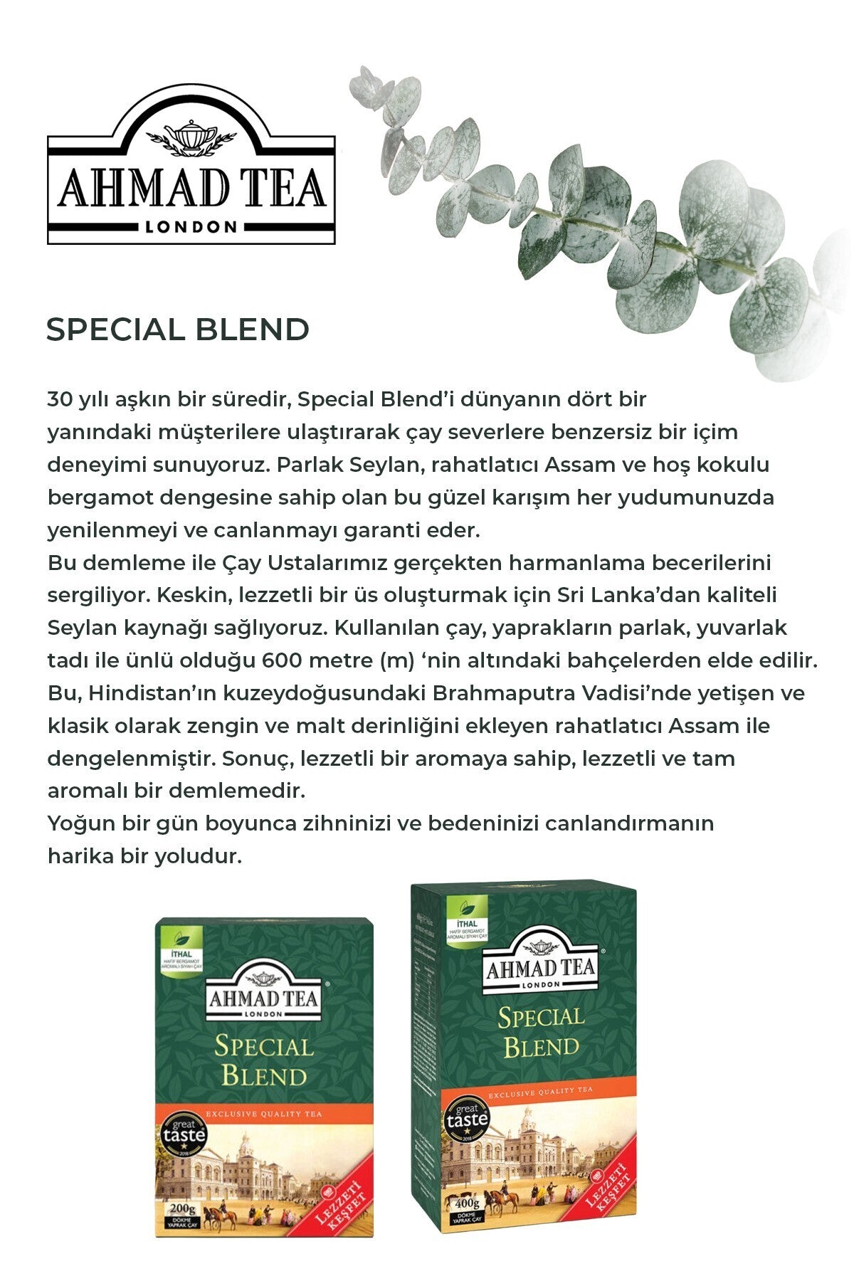 7 adet Dökme Çay Special Blend 400 G ve Rakun Kupa HEDİYE