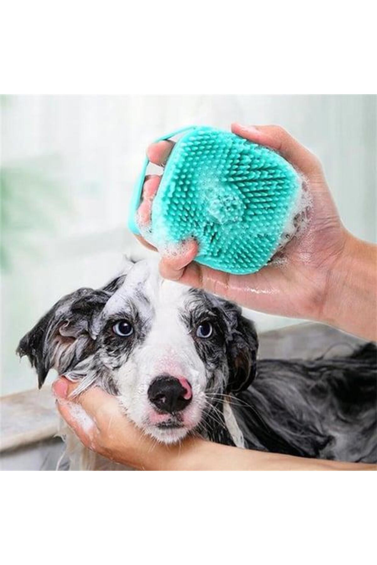 Şampuan Hazneli Silikon Kedi Köpek Yıkama Fırçası