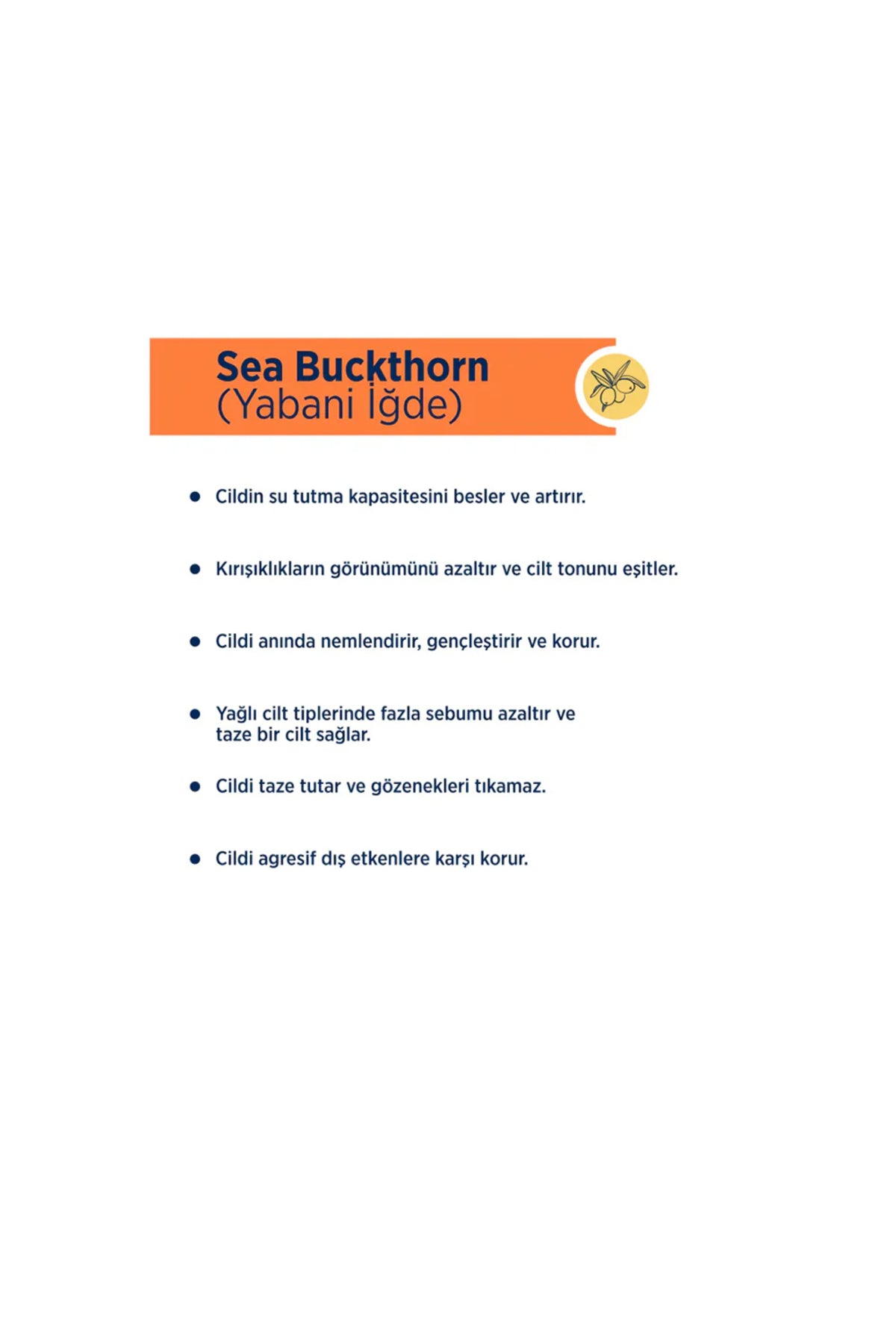 Sea Buckthorn Yüz Yıkama Jeli Yağlı ve Karma Ciltler 250 ml