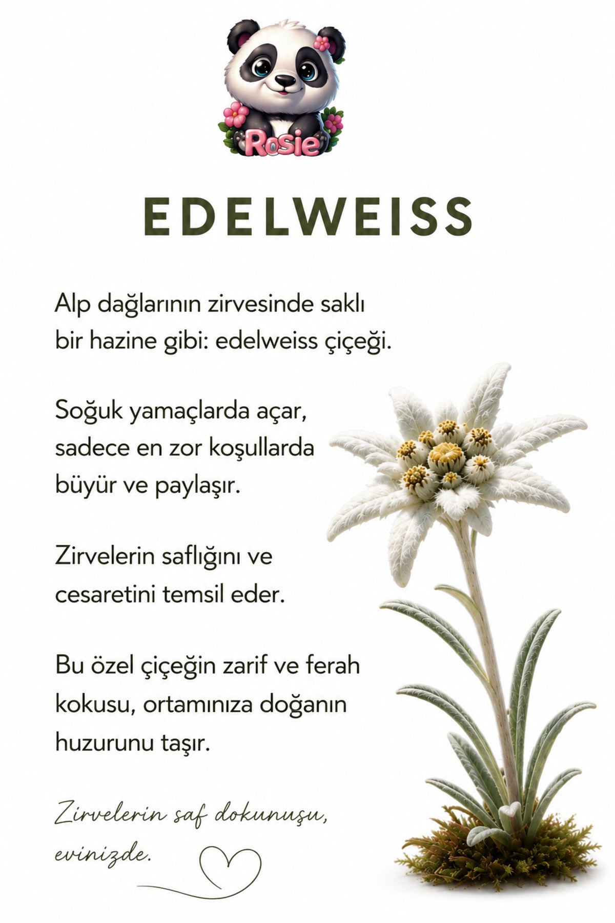 Edelweiss Sprey Oda ve Giysi Kokusu 250 ml, Alp Çiçeklerinin Ferah Zarafeti