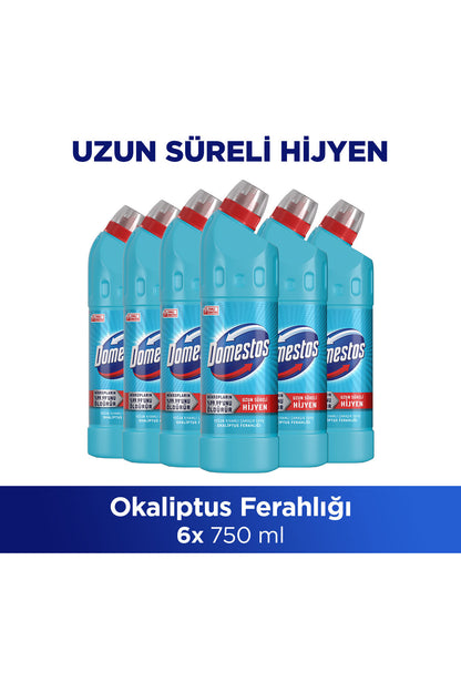 Çamaşır Suyu Yoğun Kıvamlı Okaliptus Ferahlığı 750 ml x6