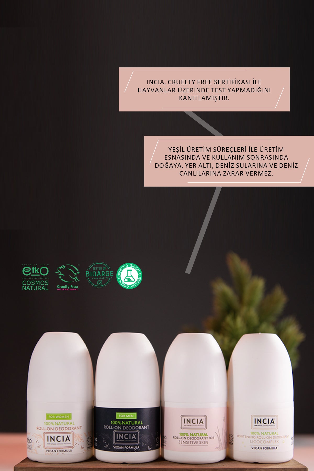 %100 Doğal Roll On Deodorant Hassas Ciltler İçin Ter Kokusu Önleyici Leke Yapmayan 50 ml