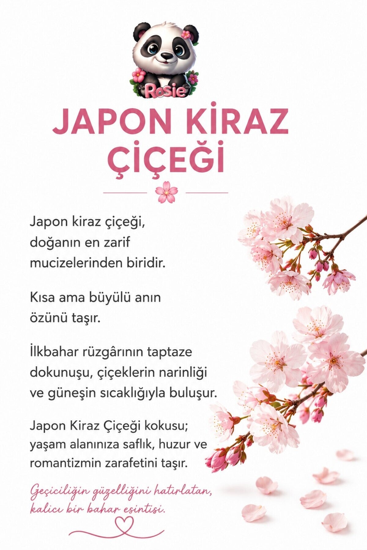 Buzdolabı Beyazı (400 ml x 2 adet) Akrilik Sprey Boya, ROSIE oda kokusu