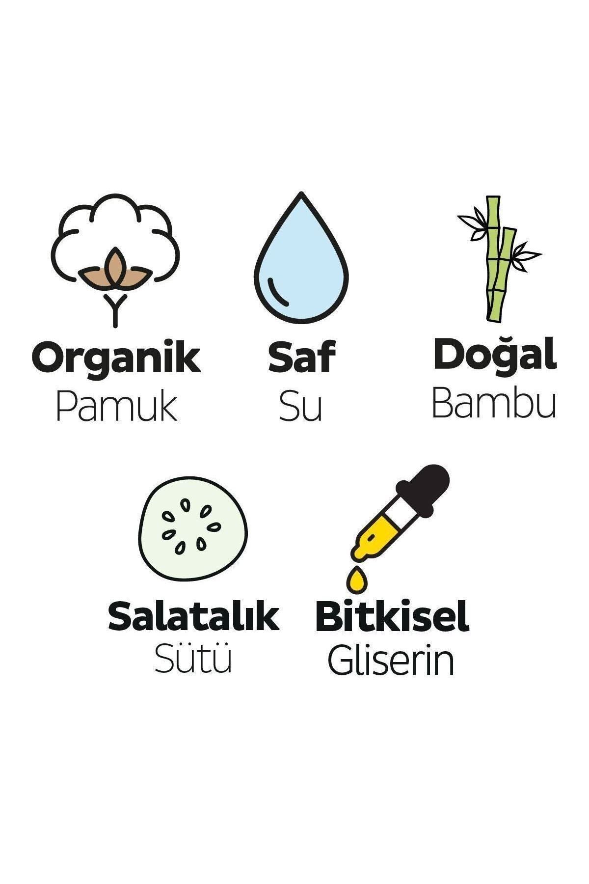 Natural Islak Bebek Havlusu 24x90 (2160 Yaprak)