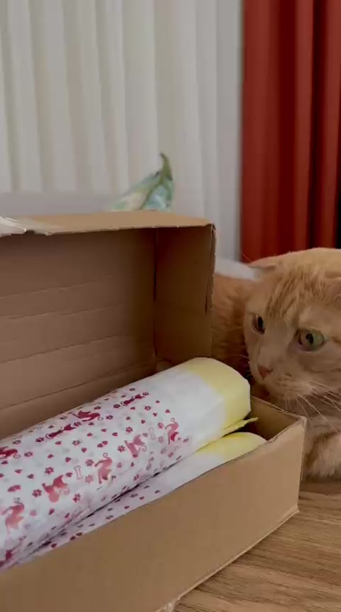 Minik dostlar, günlük ihtiyaçlar